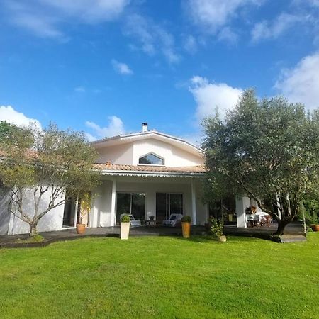 Agreable Maison Sur Le Bassin D'Arcachon Andernos-les-Bains Zewnętrze zdjęcie