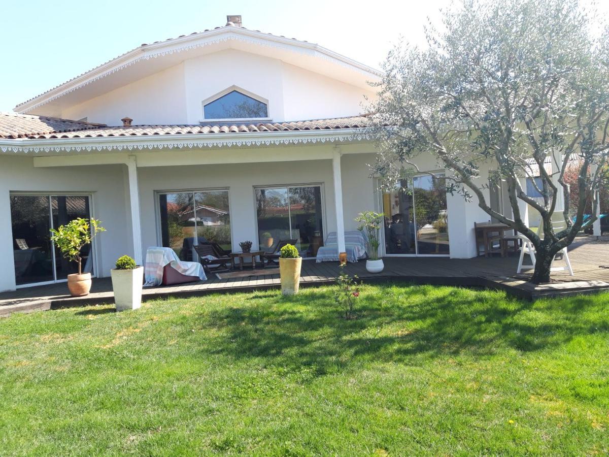 Agreable Maison Sur Le Bassin D'Arcachon Andernos-les-Bains Zewnętrze zdjęcie