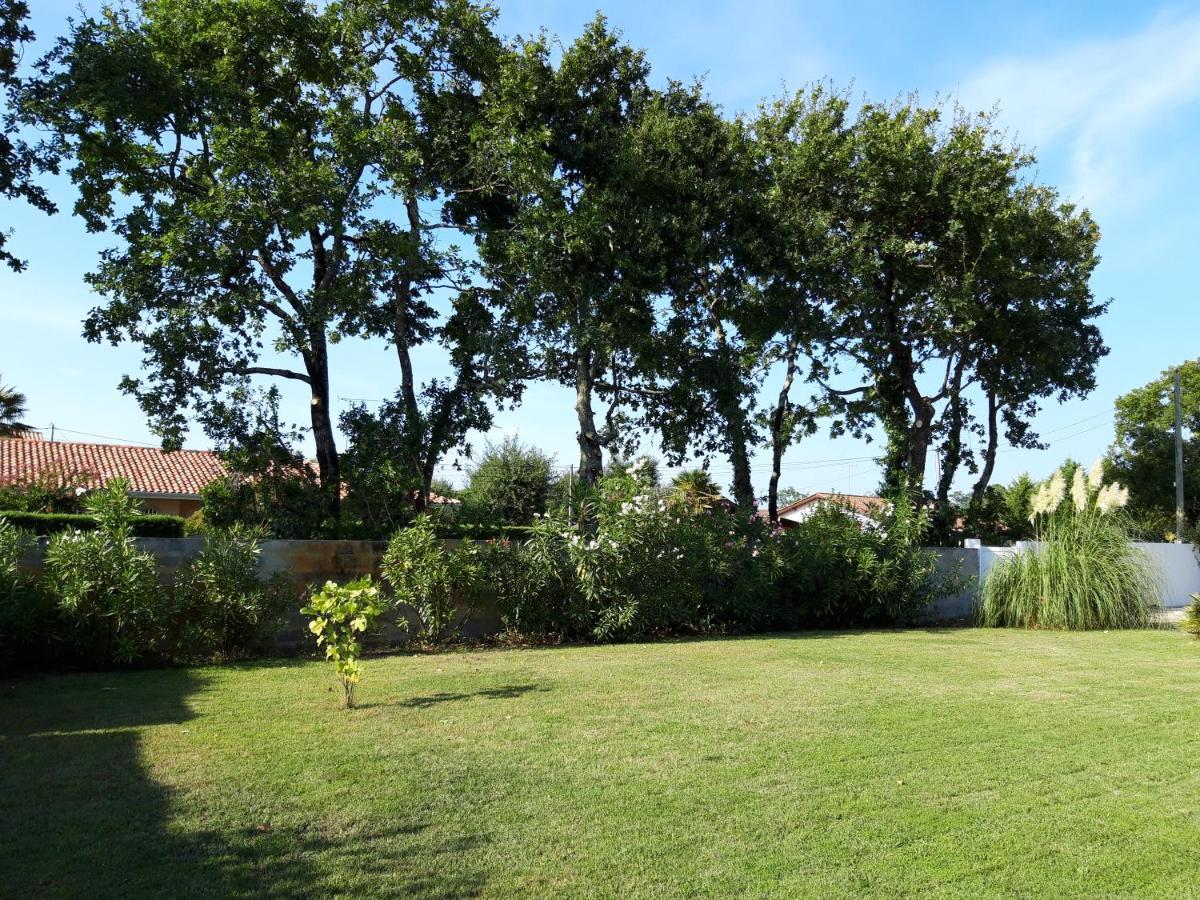 Agreable Maison Sur Le Bassin D'Arcachon Andernos-les-Bains Zewnętrze zdjęcie
