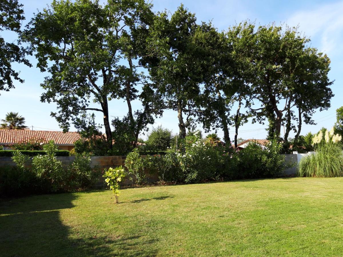Agreable Maison Sur Le Bassin D'Arcachon Andernos-les-Bains Zewnętrze zdjęcie